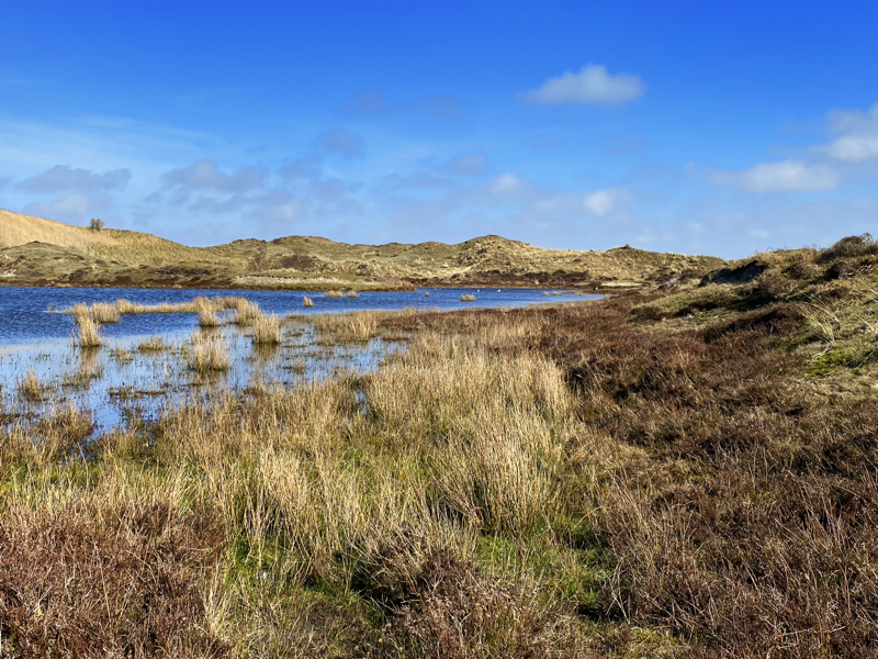 Texel